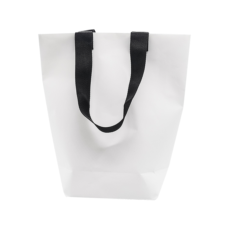 Simple White Paper Bag